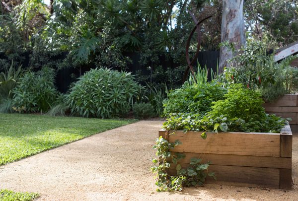 Edible Garden Secret Gardens Sydney Landscape Architecture