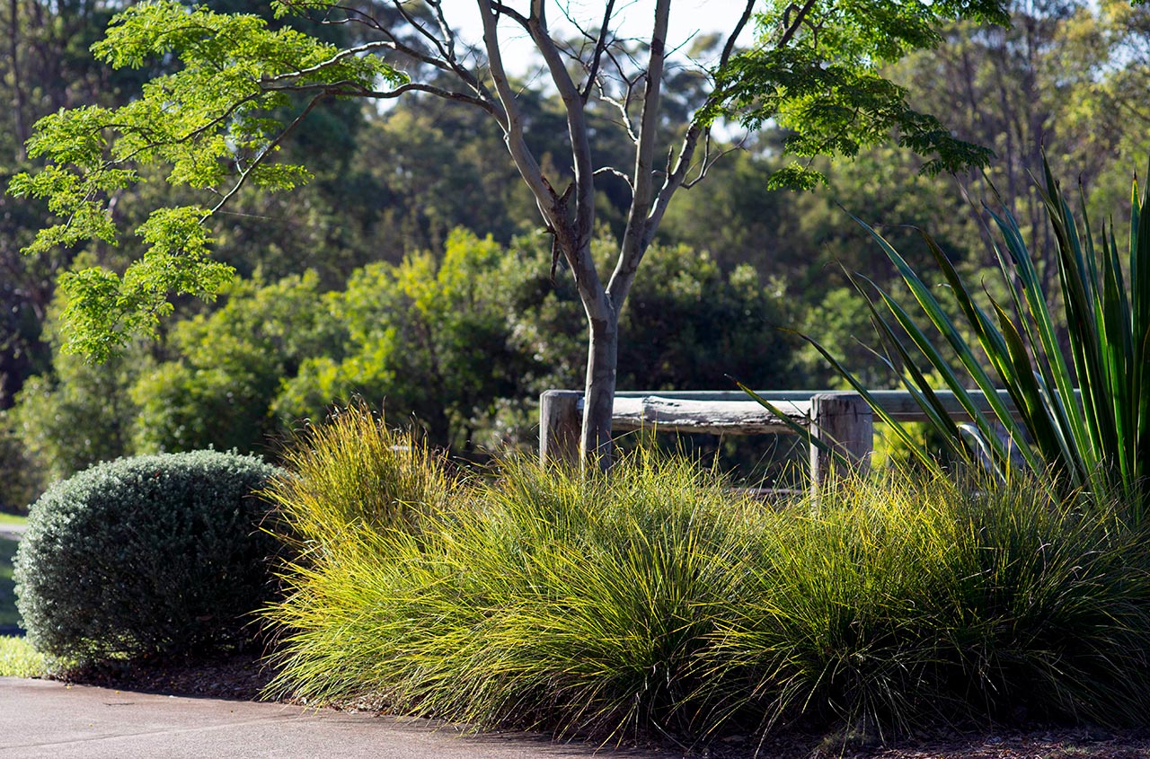 Dog Friendly Gardens | Secret Gardens: Sydney Landscape Architecture