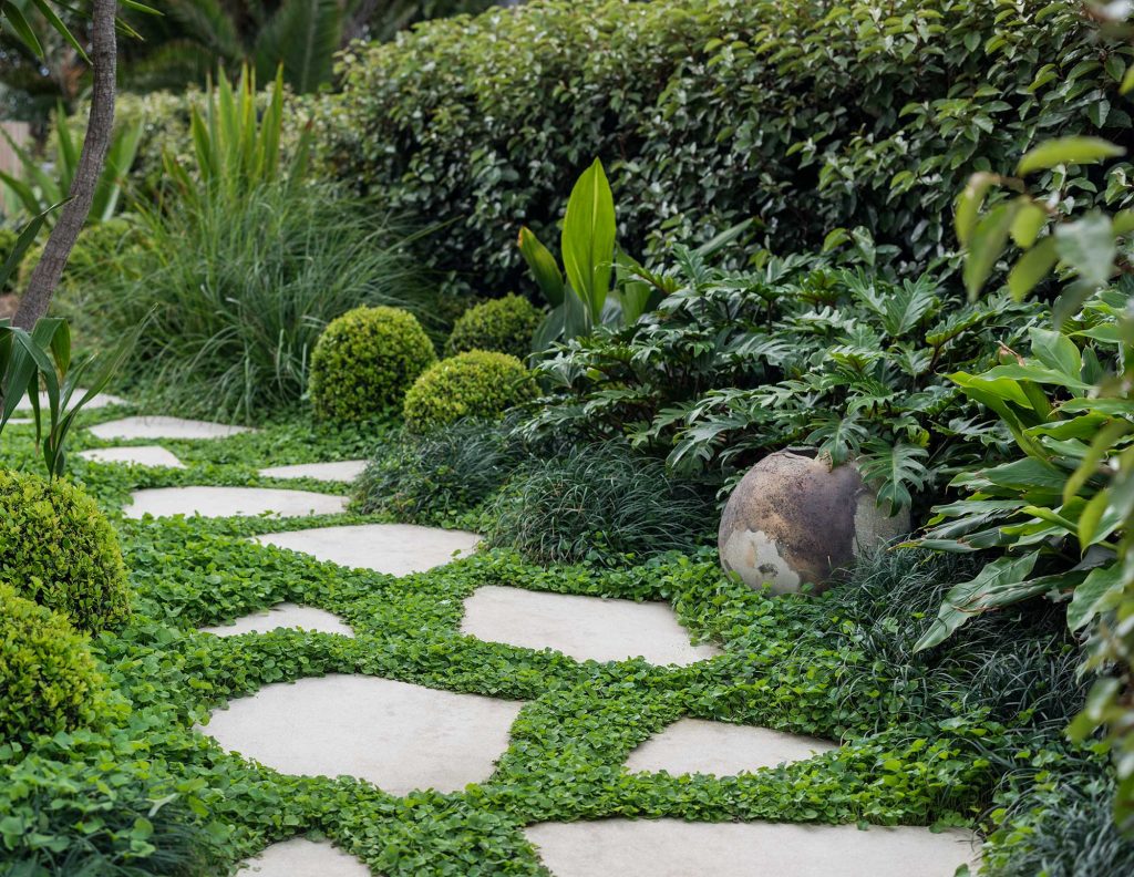 Dizzy Heights - Secret Gardens: Sydney Landscape Architecture