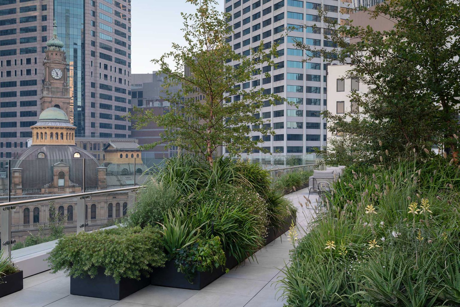 Skyline - Secret Gardens: Sydney Landscape Architecture