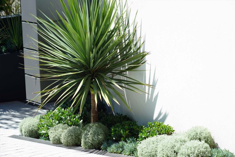Keeping Your Succulents | Secret Gardens